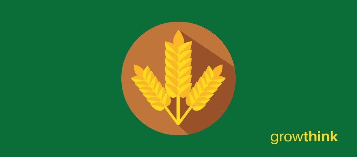Agricultural Business Plan Template